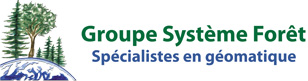 Groupe Système Forêt