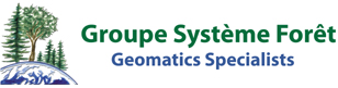 Groupe Système Forêt
