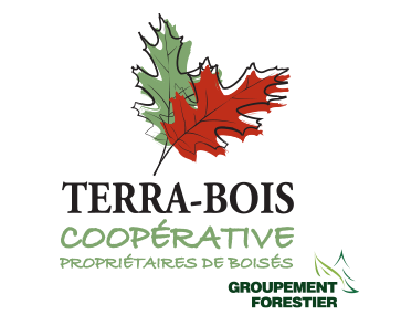 Terrabois