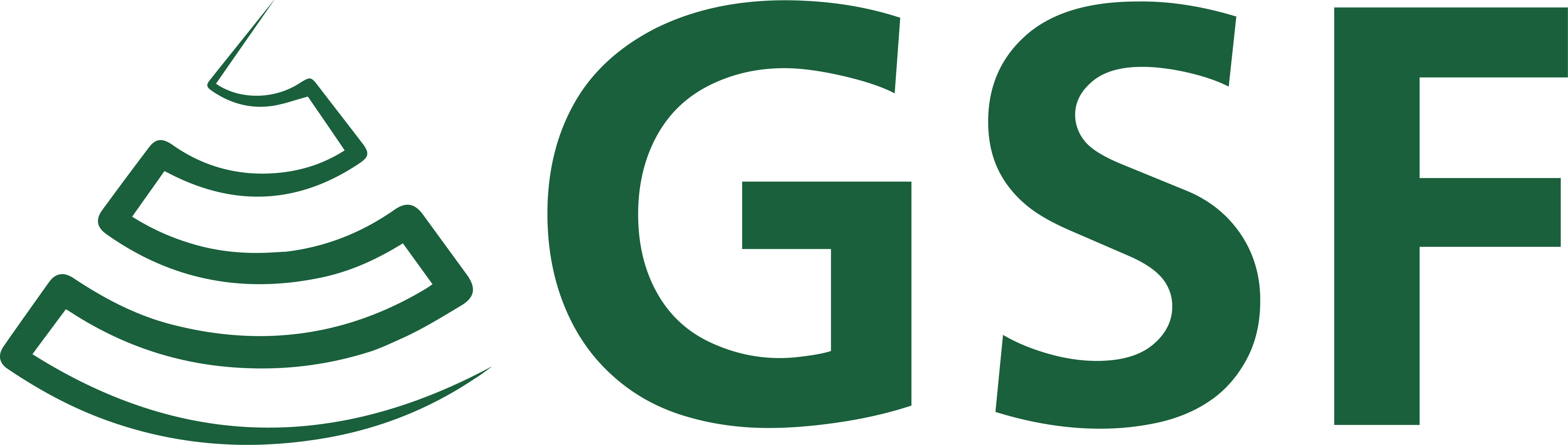 GSF Logo